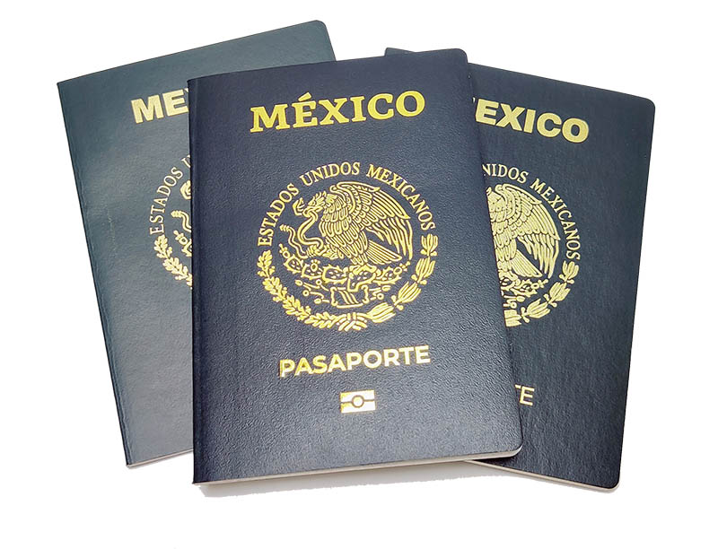 Estación biométrica, estación biográfica, OME, pasaporte, SRE, neurotechnology, neurotechnology mexico, megamatcher, megamatcher standard, megamatcher standard sdk, thales, thales gemalto, at10k, Datalogic Gryphon GD4520, DactyID20, DactyScan 84C, iCAM T10, STU 540 Wacom, Canon EOS Rebel T7, Ricoh PC600, Oficina municipal de enlace, secretaria de relaciones exteriores, lector de pasaporte AT10K, Lector de pasaportes Gemalto AT10K,